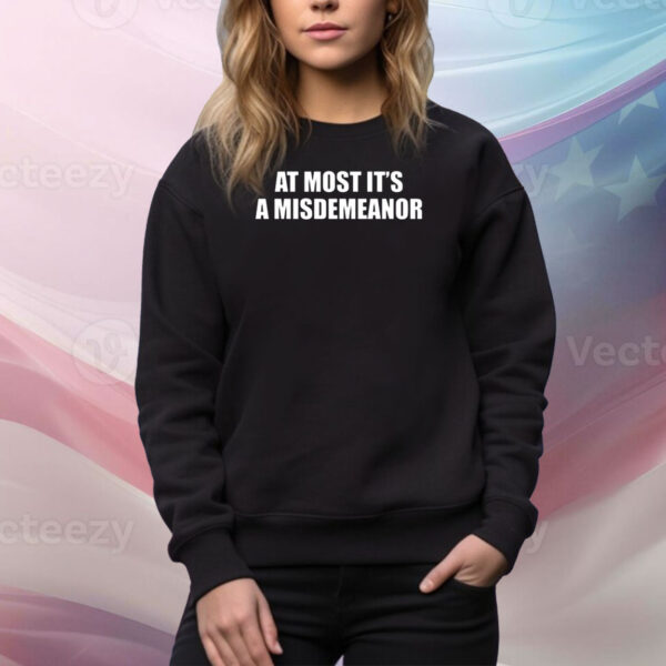 At Most It's A Misdemeanor Hoodie TShirts