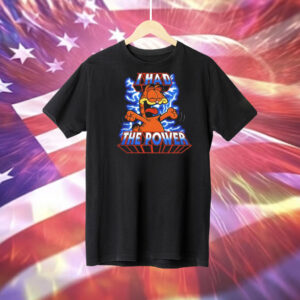 Garfield and Masters of the Universe I had the power Tee Shirt