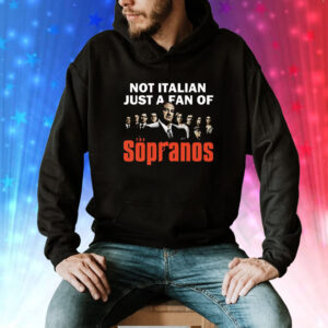 Not Italian Just A Fan Tee Shirt