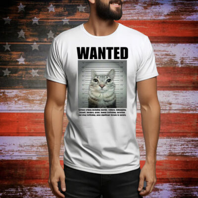 Wanted Serious Crimes Hoodie TShirts