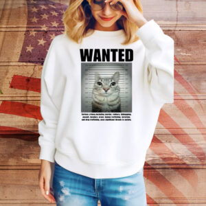 Wanted Serious Crimes Hoodie Shirts