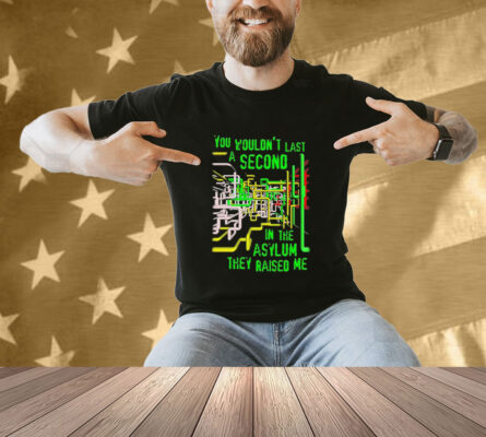 You wouldn’t last a second in the asylum they raised me T-shirt