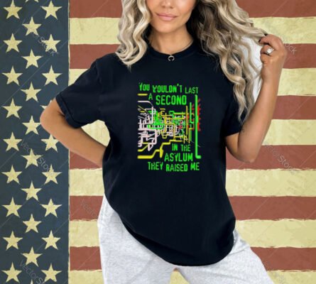 You wouldn’t last a second in the asylum they raised me T-shirt