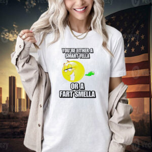 You’re either a smart fella or a fart smella cringey T-shirt