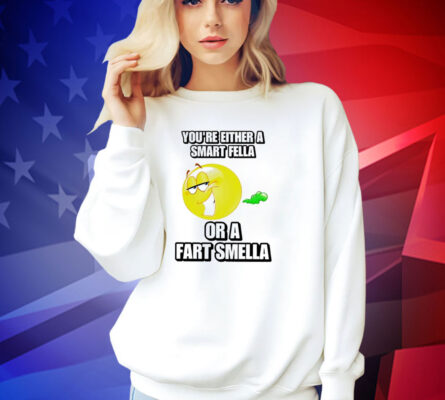 You’re either a smart fella or a fart smella cringey T-shirt