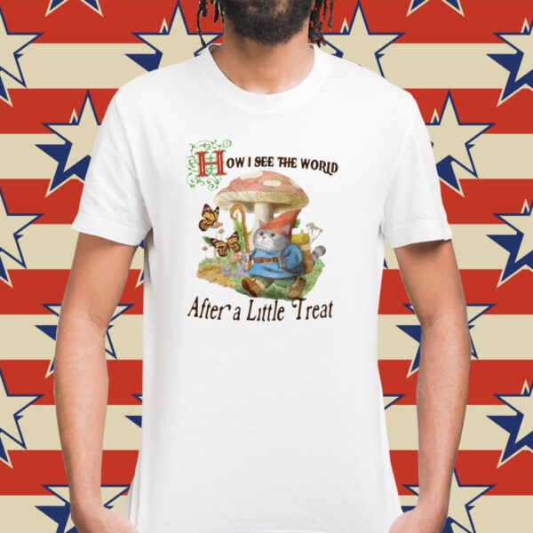 How I See The World After A Little Treat T-Shirt