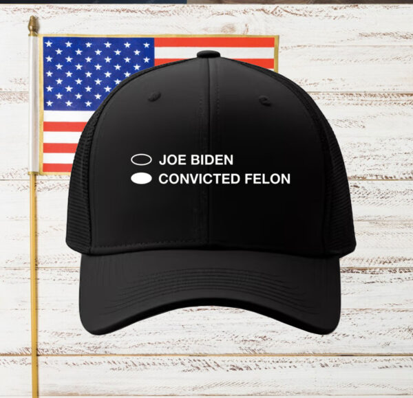 Joe Biden Convicted Felon Mug