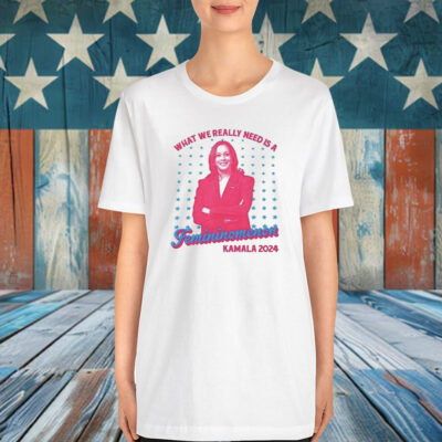 What We Really Need Is A Femininomenon Kamala 2024 Shirt