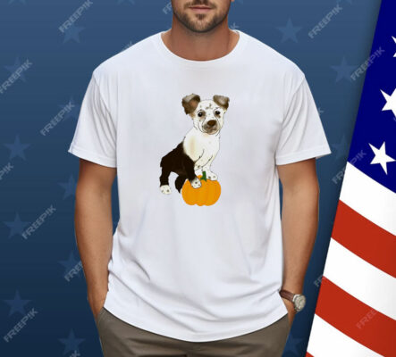 Dog pumpkin CC classic Shirt