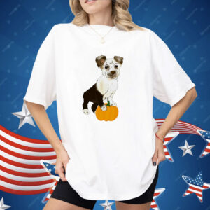 Dog pumpkin CC classic Shirt