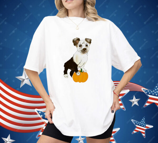 Dog pumpkin CC classic Shirt