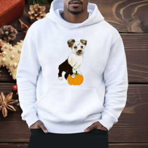 Dog pumpkin CC classic Shirt