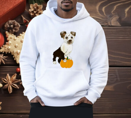 Dog pumpkin CC classic Shirt