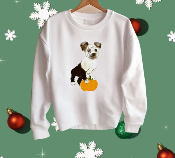 Dog pumpkin CC classic Shirt