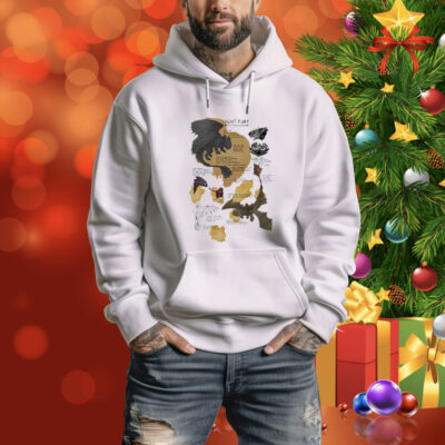 How To Train Your Dragon Night Fury Toothless Tee Shirt