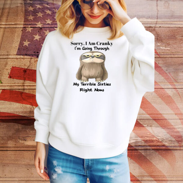 Sloth Sorry I Am Cranky I’m Going Through My Terrible Sixties Right Now Tee Shirt