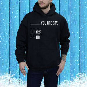 You Are Gay Yes No Tee Shirt